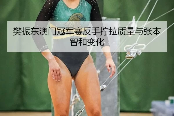 樊振东澳门冠军赛反手拧拉质量与张本智和变化